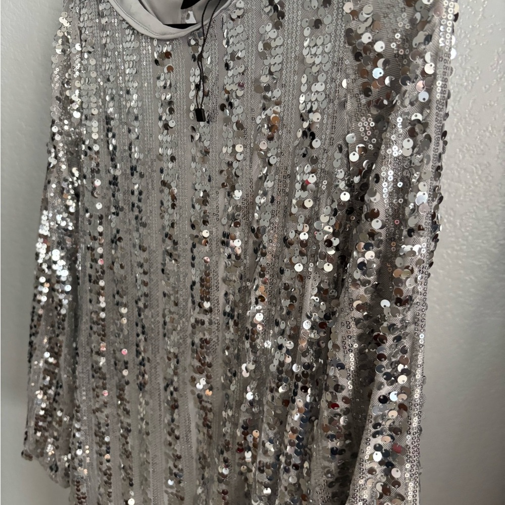 Zara Silver Sequin Mini Dress
